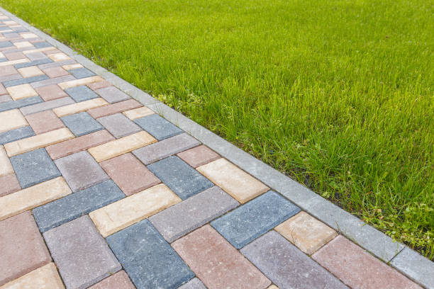 Best Professional Driveway Pavers  in Tullahoma, TN
